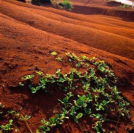 《战地2042》次世代主机版发售时不支持120帧  CPU压力大