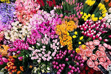 斩获世界首通，《命运2：光陨之秋》梦魇根源突袭赛冠军诞生