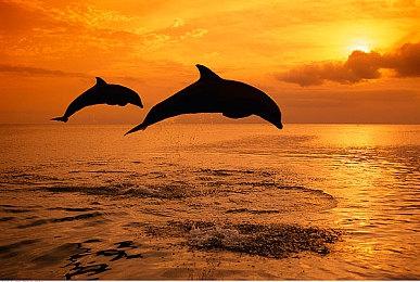 PETA要求《战神5》加入新模式 不伤害动物